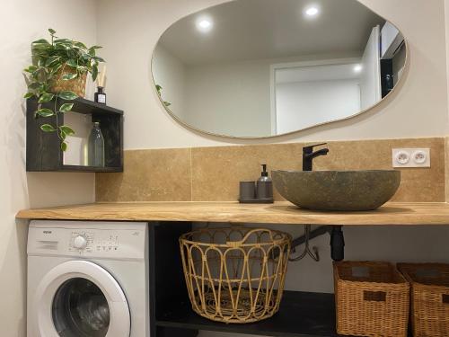 a bathroom with a sink and a washing machine at Grand T1 Allevard centre in Allevard