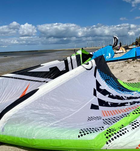 a group of kites sitting on the beach at Residence Black Eagle Lubmin Strand in Lubmin