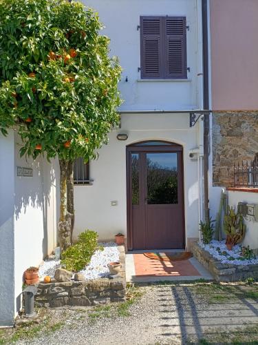 Gallery image of La Gesualda locazione turistica in Castelnuovo Magra