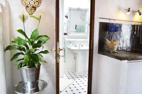 Baño con maceta junto a un lavabo en Stylish getaway with secluded Patio in lava Finca, en Uga