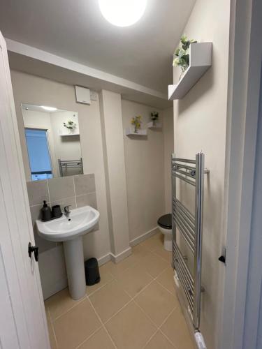 a bathroom with a sink and a toilet at The Hive in South Molton