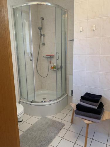 ヴェルニゲローデにあるMeine Ferienwohnungのバスルーム(シャワー、トイレ、タオル付)