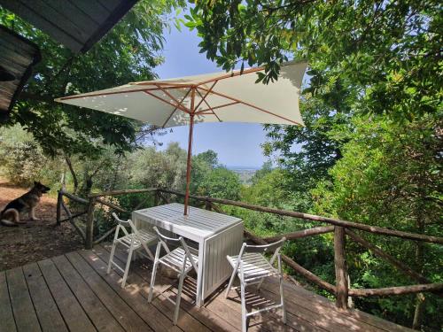 une table, des chaises et un parasol sur une terrasse dans l'établissement Agricamping La Gallinella, à Castagneto Carducci