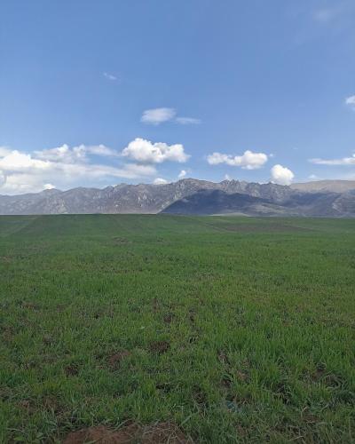 a field of green grass with mountains in the background at Tamara B&B in Dsegh