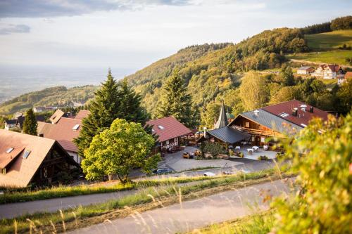 an aerial view of a village with a church at Hotel Spinnerhof in Sasbachwalden