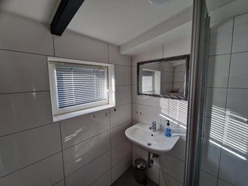 a bathroom with a sink and a mirror at Haus Rheinsheimer Scheuer in Philippsburg