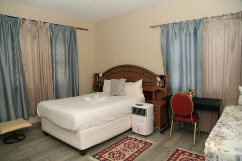 1 dormitorio con cama, escritorio y silla en Coco Palm Bed & Breakfast en Windhoek