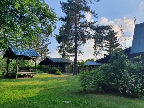 um parque com uma mesa de piquenique e um gazebo em Cottage house-Augustow Primeval Forest, near lake em Płaska