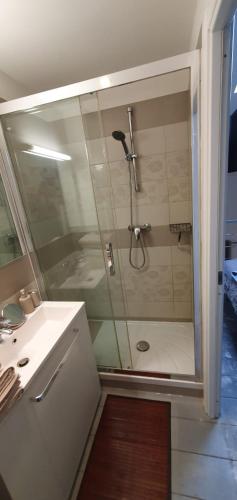 une salle de bain avec douche et lavabo dans l'établissement Joli Duplex cathédrale, à Cannes