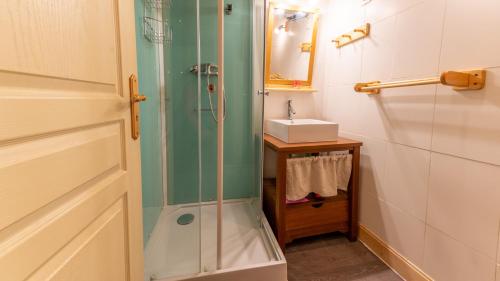 a bathroom with a shower and a sink at Les Cochettes -166 - Chalet spacieux 8 pers in Doucy
