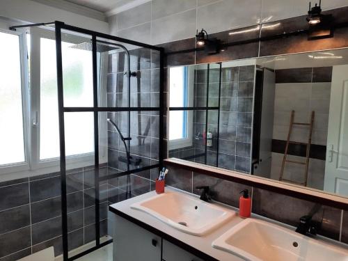 une salle de bain avec un lavabo et un miroir dans l'établissement JOLIE MAISON AVEC PISCINE CHAUFFEE EN CAMPAGNE, au Perrier