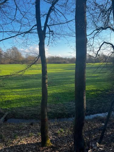 two trees with a field in the background at Wellness Chata Hideaway se saunou a vířivkou in Třebechovice pod Orebem