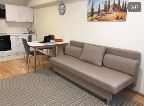 a living room with a couch and a table with a laptop at Let flat today in Kyiv