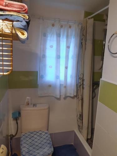 y baño con aseo y cortina de ducha. en Nice room with swimming pool, en Cocentaina