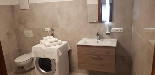 a bathroom with a toilet and a sink and a mirror at Hotel Restaurant Häupl in Seewalchen