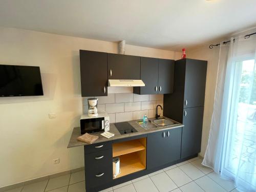 La cuisine est équipée de placards noirs, d'un évier et d'un four micro-ondes. dans l'établissement studio Alivu, à Bastia
