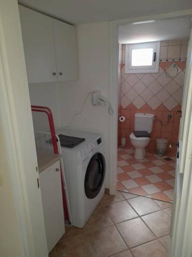 a bathroom with a washing machine and a toilet at SummerAndros Skalario in Andros