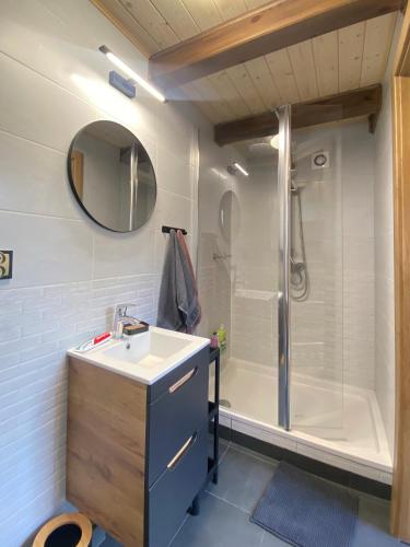 a bathroom with a sink and a shower at Roztocze - Domek - Trzy Sosny in Rebizanty