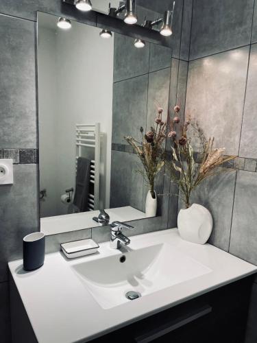 une salle de bain avec un lavabo blanc et un miroir dans l'établissement T2 calme avec vue mer et borne de recharge sur demande, à Bastia