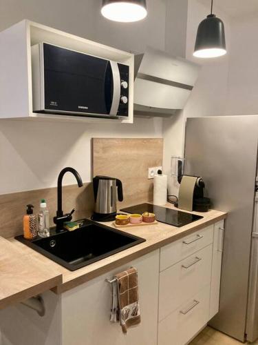 une cuisine avec un évier et un micro-ondes dans l'établissement Appartement Bordeaux Centre - Grand Théâtre, à Bordeaux