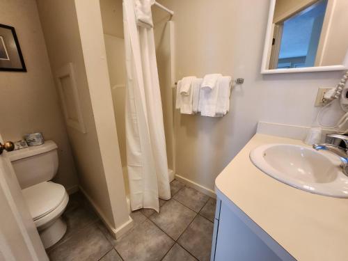 a white bathroom with a toilet and a sink at North Shore Inn TC 209 in Traverse City