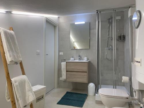 a bathroom with a shower and a toilet and a sink at Villa Agricolae Agriturismo in Marina
