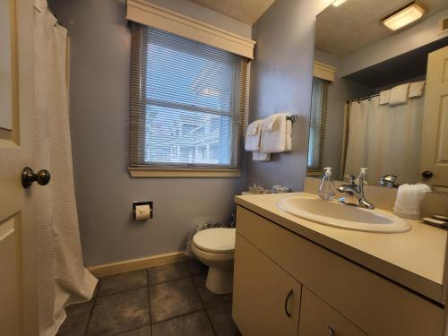 特拉弗斯城的住宿－North Shore Inn TC 300，一间带水槽和卫生间的浴室以及窗户。