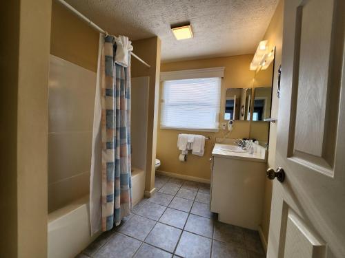 een badkamer met een douche en een wastafel bij North Shore Inn TC 306 in Traverse City
