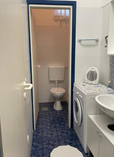 a bathroom with a toilet and a washing machine at Apartments Šterna in Grožnjan