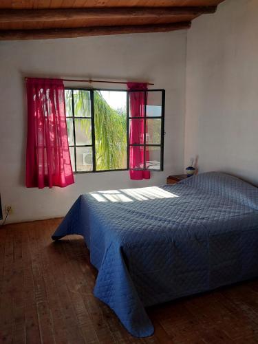 コロンにあるDepartamento Costa del Uruguayの青いベッドと窓のある寝室