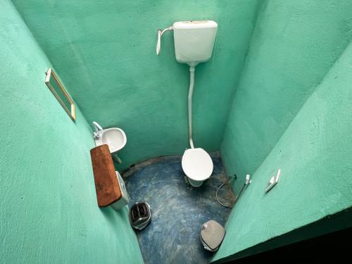 a small bathroom with a toilet in a green wall at Hostel Moreré in Moreré