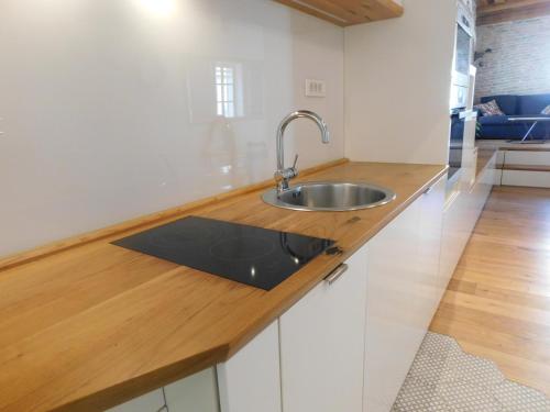 cocina con fregadero y encimera de madera en Boutique Apartment Križanke, en Liubliana