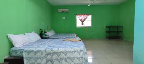 Postel nebo postele na pokoji v ubytování Villas del Carmen Hostal