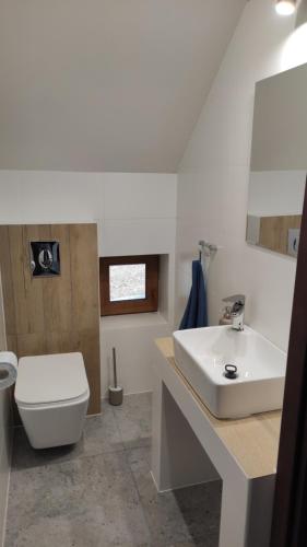 ein Badezimmer mit einem weißen Waschbecken und einer Toilette in der Unterkunft Apartamenty Klangor in Mrągowo