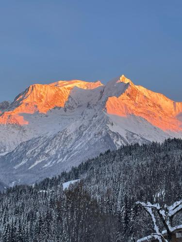 Vue splendide Mont Blanc
