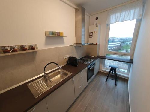 een keuken met een wastafel, een fornuis en een raam bij New Luxury Flat Near City Center in Timişoara