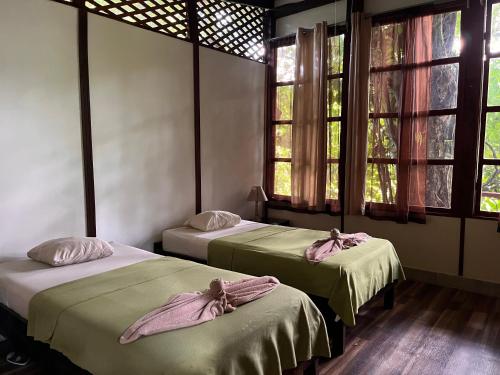 two beds sitting in a room with windows at Chilamate Rainforest Eco Retreat in Puerto Viejo