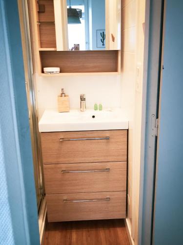 une salle de bain avec un lavabo et un miroir dans l'établissement Le Studio Cosy, à Périgueux