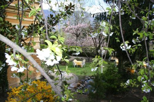 a garden with white flowers and a table and chairs at Hotel Villa Westend in Merano