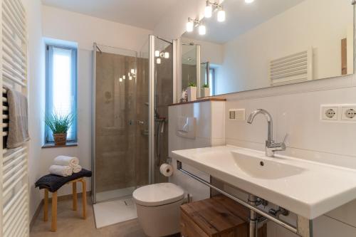 a bathroom with a sink and a shower and a toilet at Koje 34 in Sankt Peter-Ording