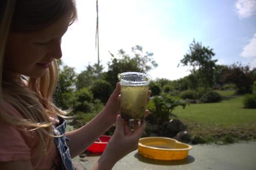 a young girl holding a glass of green liquid at Stutteri Skandihest Apartments in Billund
