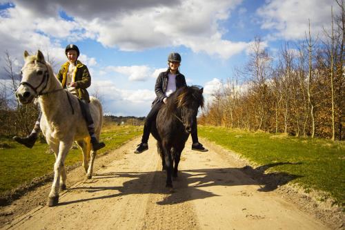 two people riding horses on a dirt road at Stutteri Skandihest Apartments in Billund