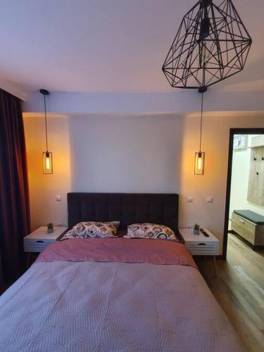 锡比乌Apartament Mirela的一间带大床和两个床头柜的卧室