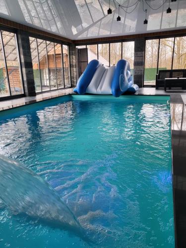 a swimming pool with a dolphin in the water at БЕРЕЗИНИ in Simer