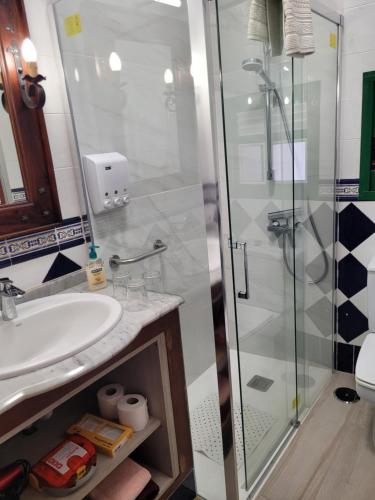 a bathroom with a sink and a shower at La Cuadra in Buenavista del Norte