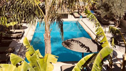 Coco Canel Marrakech