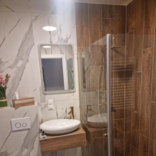 uma casa de banho com um lavatório e uma cabina de duche em vidro. em Apartament Anna em Leszno