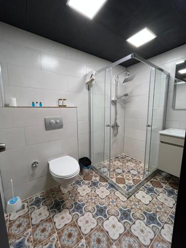 a bathroom with a shower and a toilet at NENEHATUN59 BUTİK OTEL in Ankara