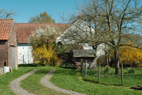 a house with a tree and a dirt road at in Den Akker in Oudenaarde