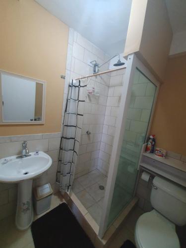 a bathroom with a shower and a toilet and a sink at VIP Residence - Ocean & Pool view Lovely 2-Bedroom Apartment in Roseau